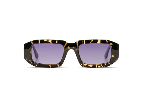 Blaze drak tortoise