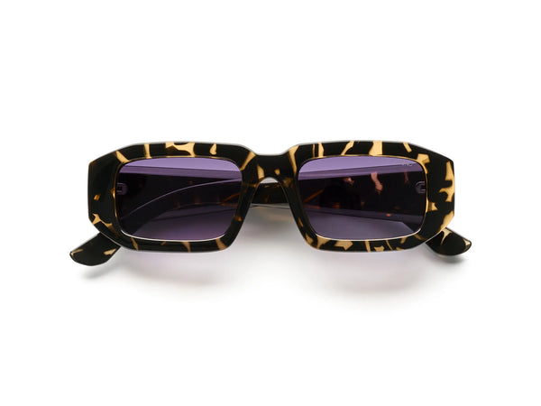 Blaze drak tortoise