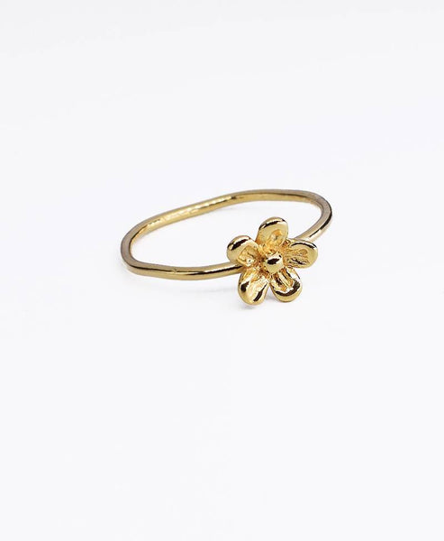 Giardino anillo oro