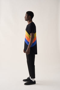 PinkFloyd Negro