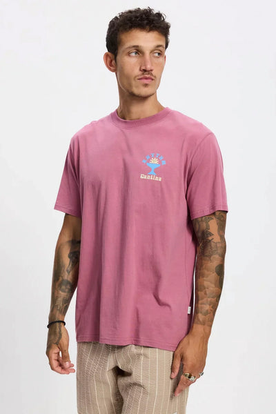 Cantina Tee Fig