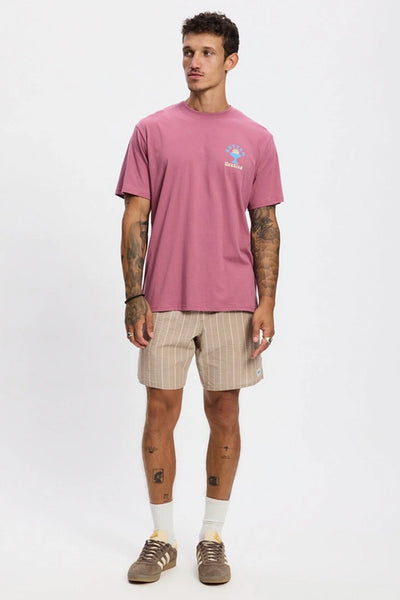 Cantina Tee Fig