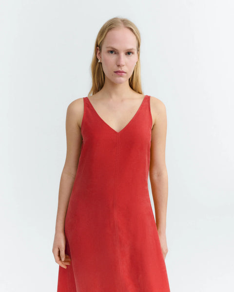 Clavel Sade Dress