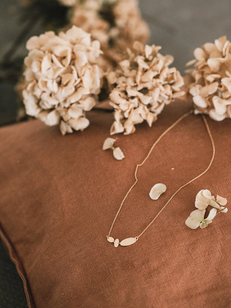 Semilla Collar