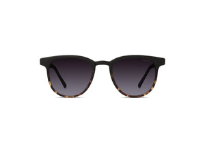 Francis Matte Black Tortoise