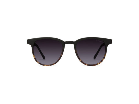 Francis Matte Black Tortoise