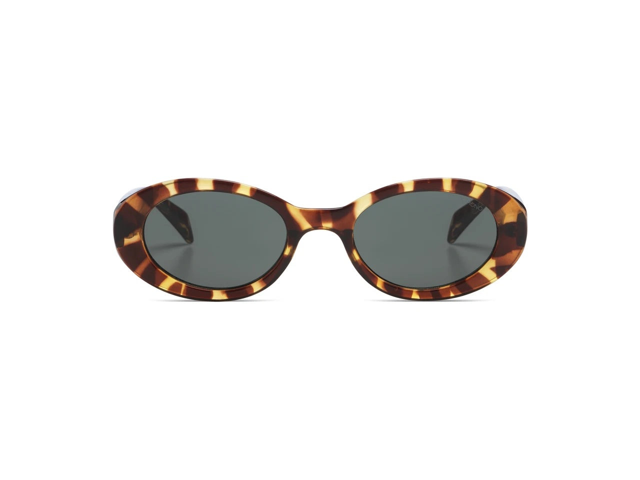 Ana Tortoise