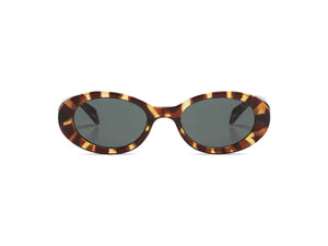 Ana Tortoise