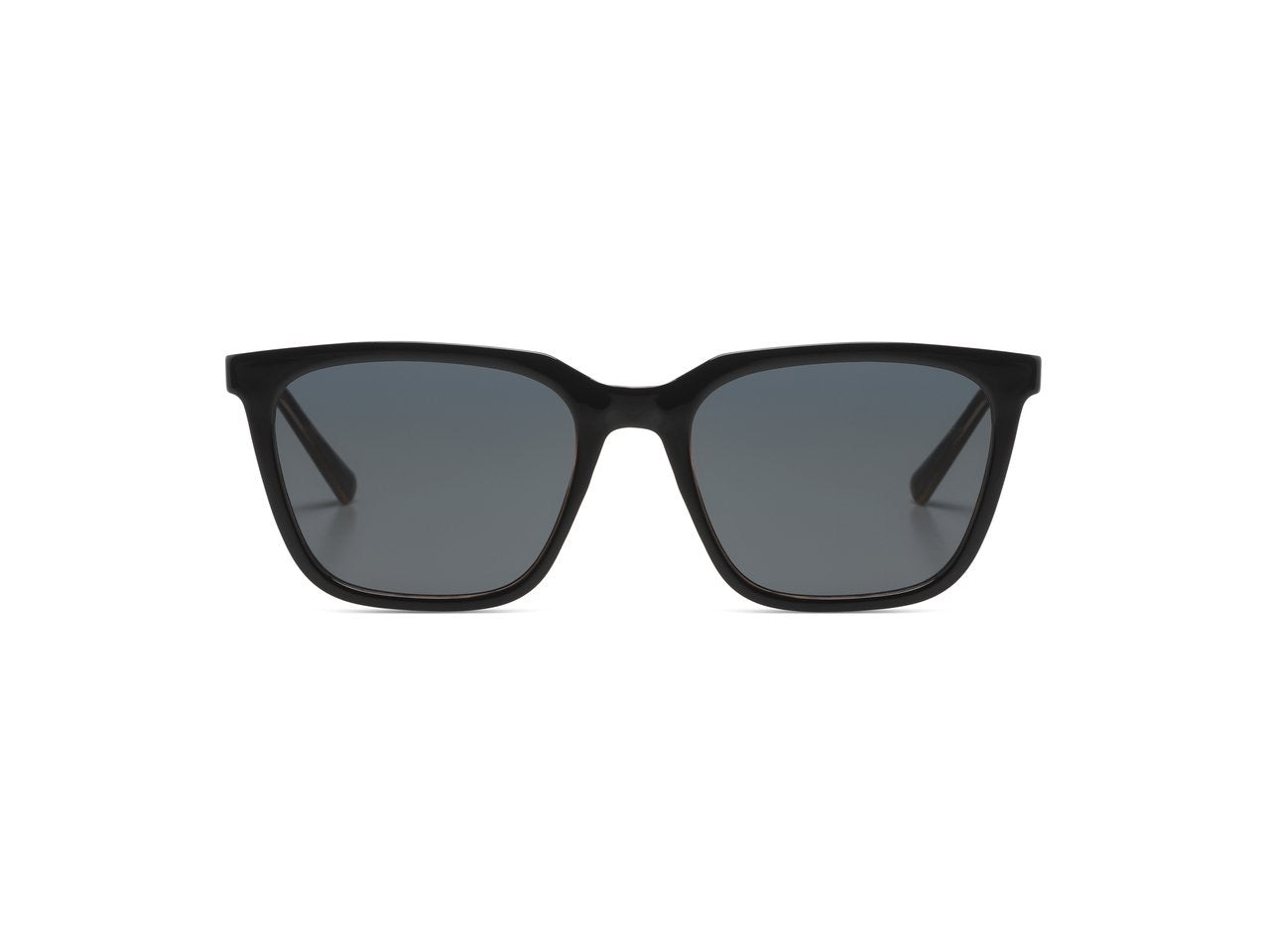 Jay Black tortoise
