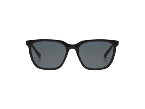 Jay Black tortoise